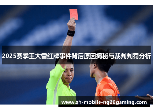 2025赛季王大雷红牌事件背后原因揭秘与裁判判罚分析