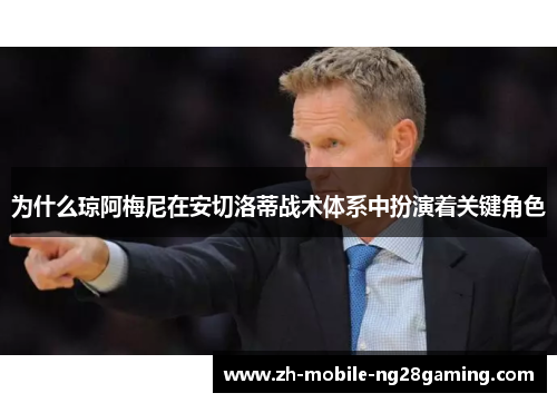 为什么琼阿梅尼在安切洛蒂战术体系中扮演着关键角色