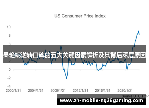 吴艳妮逆转口碑的五大关键因素解析及其背后深层原因