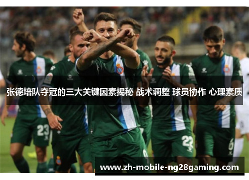 张德培队夺冠的三大关键因素揭秘 战术调整 球员协作 心理素质