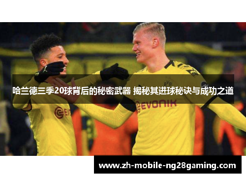 哈兰德三季20球背后的秘密武器 揭秘其进球秘诀与成功之道