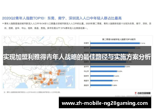 实现加盟利雅得青年人战略的最佳路径与实施方案分析