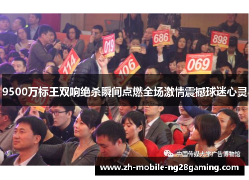 9500万标王双响绝杀瞬间点燃全场激情震撼球迷心灵