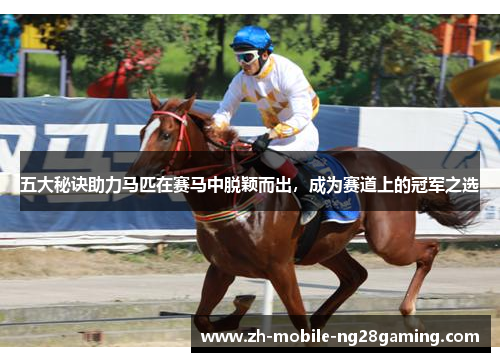 五大秘诀助力马匹在赛马中脱颖而出，成为赛道上的冠军之选