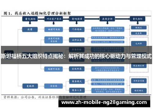 斯坦福桥五大组织特点揭秘：解析其成功的核心驱动力与管理模式
