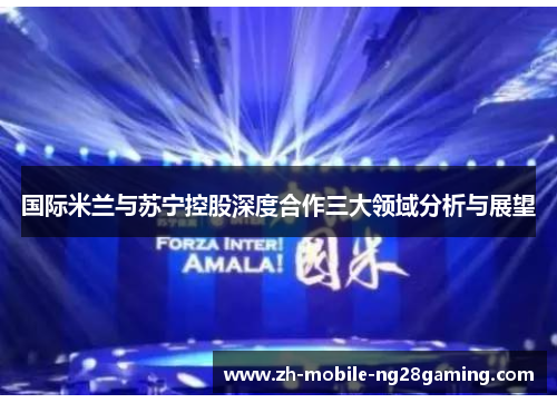 国际米兰与苏宁控股深度合作三大领域分析与展望