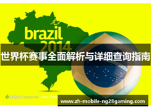 世界杯赛事全面解析与详细查询指南