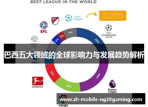 巴西五大领域的全球影响力与发展趋势解析