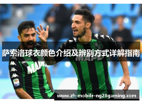 萨索洛球衣颜色介绍及辨别方式详解指南