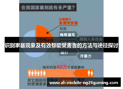 识别家暴现象及有效帮助受害者的方法与途径探讨