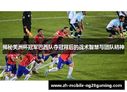揭秘美洲杯冠军巴西队夺冠背后的战术智慧与团队精神