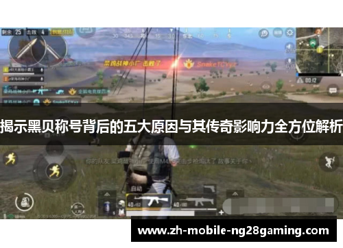 揭示黑贝称号背后的五大原因与其传奇影响力全方位解析