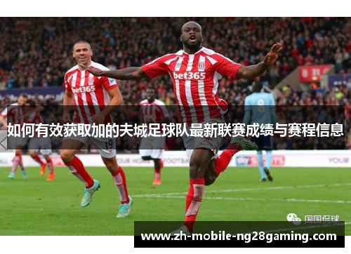 如何有效获取加的夫城足球队最新联赛成绩与赛程信息