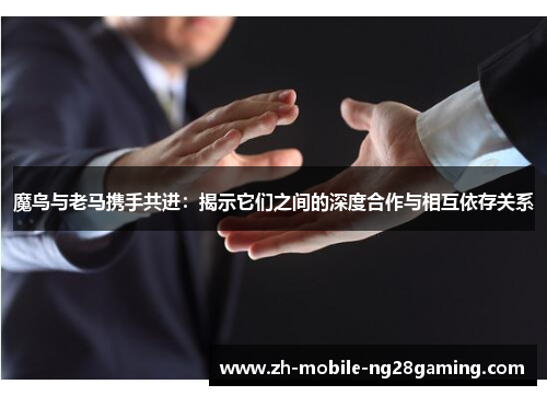 魔鸟与老马携手共进：揭示它们之间的深度合作与相互依存关系