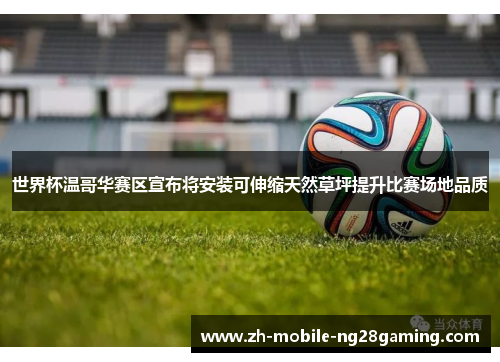 世界杯温哥华赛区宣布将安装可伸缩天然草坪提升比赛场地品质